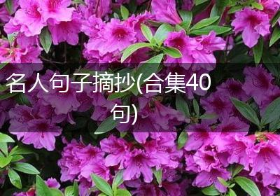 名人句子摘抄(合集40句)