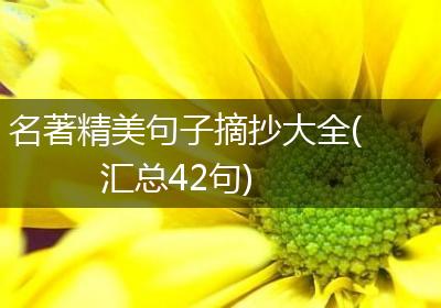 名著精美句子摘抄大全(汇总42句)