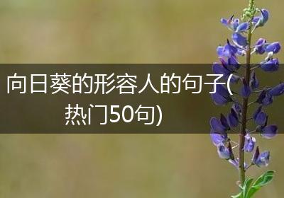 向日葵的形容人的句子(热门50句)