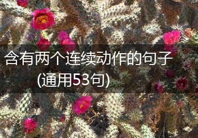 含有两个连续动作的句子(通用53句)