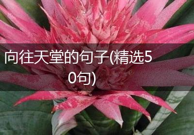 向往天堂的句子(精选50句)