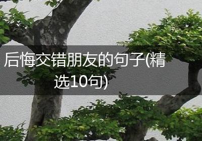 后悔交错朋友的句子(精选10句)