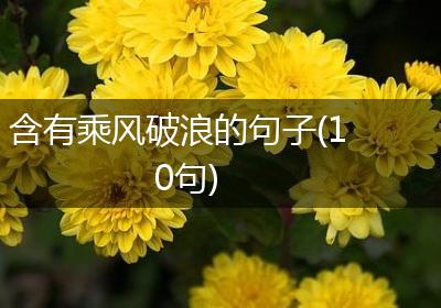 含有乘风破浪的句子(10句)