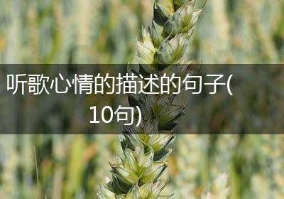 听歌心情的描述的句子(10句)