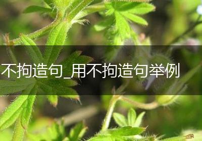 不拘造句_用不拘造句举例