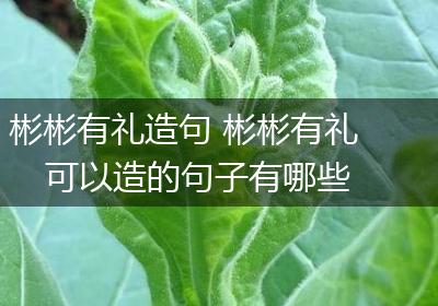 彬彬有礼造句 彬彬有礼可以造的句子有哪些