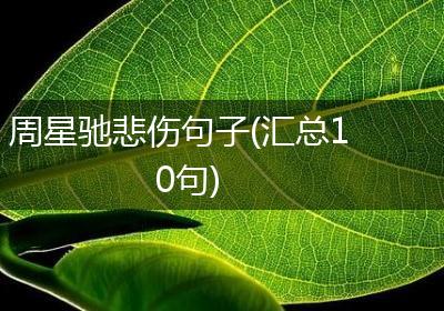 周星驰悲伤句子(汇总10句)