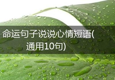 命运句子说说心情短语(通用10句)