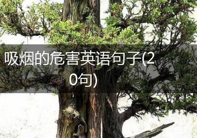 吸烟的危害英语句子(20句)
