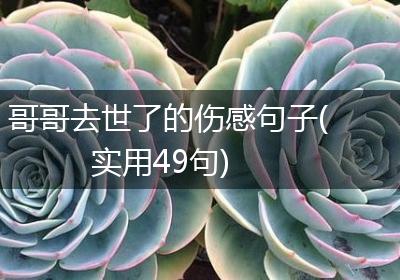 哥哥去世了的伤感句子(实用49句)