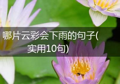 哪片云彩会下雨的句子(实用10句)