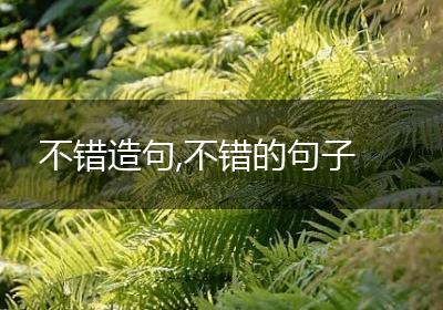 不错造句,不错的句子