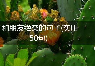 和朋友绝交的句子(实用50句)