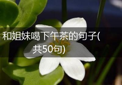 和姐妹喝下午茶的句子(共50句)