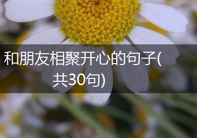 和朋友相聚开心的句子(共30句)