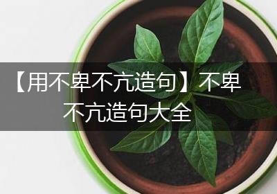 【用不卑不亢造句】不卑不亢造句大全