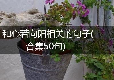 和心若向阳相关的句子(合集50句)