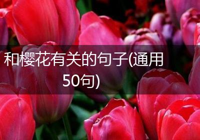 和樱花有关的句子(通用50句)