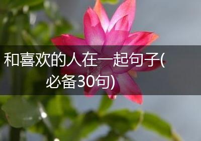 和喜欢的人在一起句子(必备30句)