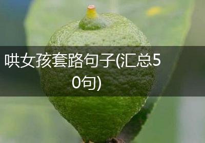 哄女孩套路句子(汇总50句)