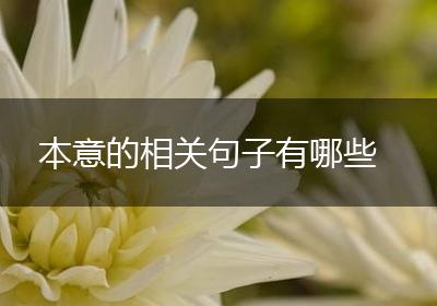 本意的相关句子有哪些