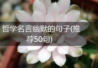 哲学名言幽默的句子(推荐50句)