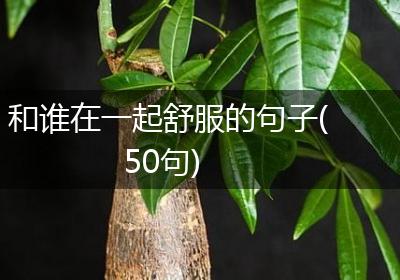 和谁在一起舒服的句子(50句)