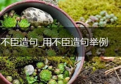 不臣造句_用不臣造句举例