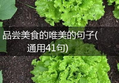 品尝美食的唯美的句子(通用41句)