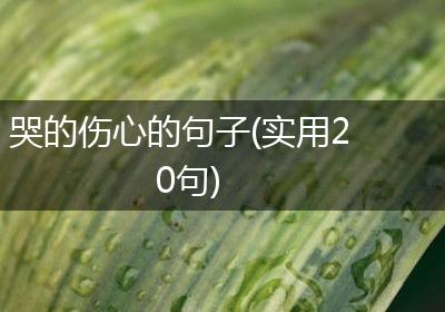 哭的伤心的句子(实用20句)