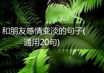 和朋友感情变淡的句子(通用20句)