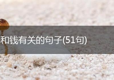 和钱有关的句子(51句)