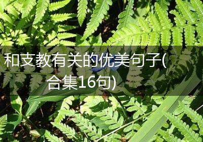 和支教有关的优美句子(合集16句)