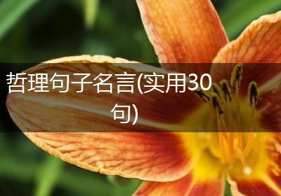 哲理句子名言(实用30句)