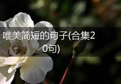 唯美简短的句子(合集20句)