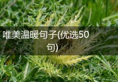 唯美温暖句子(优选50句)