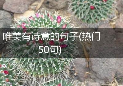 唯美有诗意的句子(热门50句)