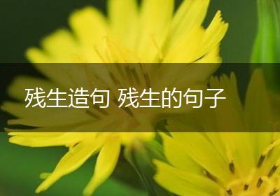 残生造句 残生的句子