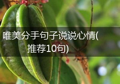 唯美分手句子说说心情(推荐10句)