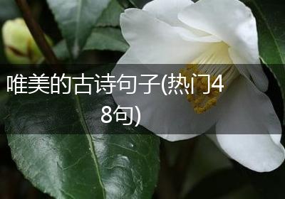 唯美的古诗句子(热门48句)