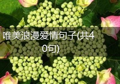 唯美浪漫爱情句子(共40句)