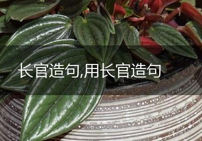 长官造句,用长官造句