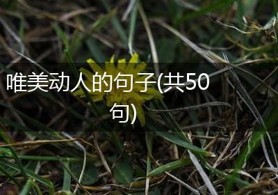 唯美动人的句子(共50句)