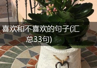 喜欢和不喜欢的句子(汇总33句)