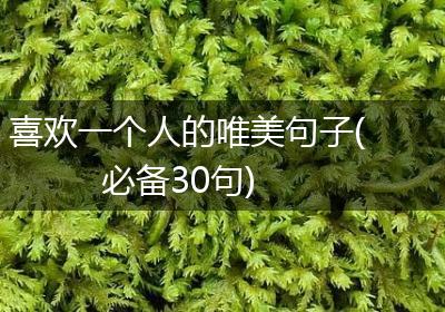 喜欢一个人的唯美句子(必备30句)