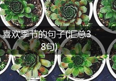 喜欢季节的句子(汇总38句)