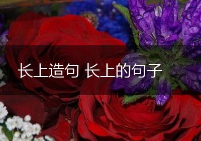 长上造句 长上的句子