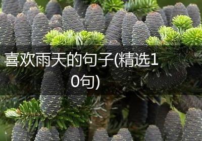 喜欢雨天的句子(精选10句)