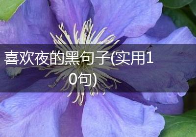 喜欢夜的黑句子(实用10句)