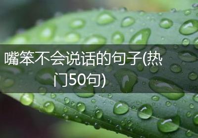 嘴笨不会说话的句子(热门50句)